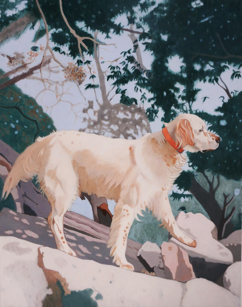 Antoine Denain, Altor, chien corse, acrylique sur toile, 146/114cm, 2023, 